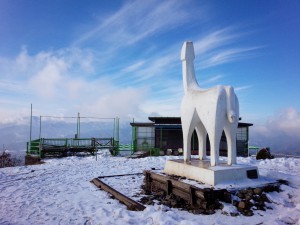 2016.2.2陣馬山頂